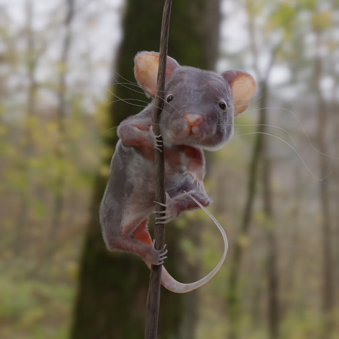 A photoreal mouse hanging from a wire in a forest