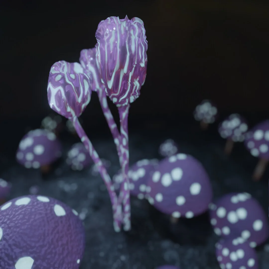 Purple mushrooms on a dark forest floor