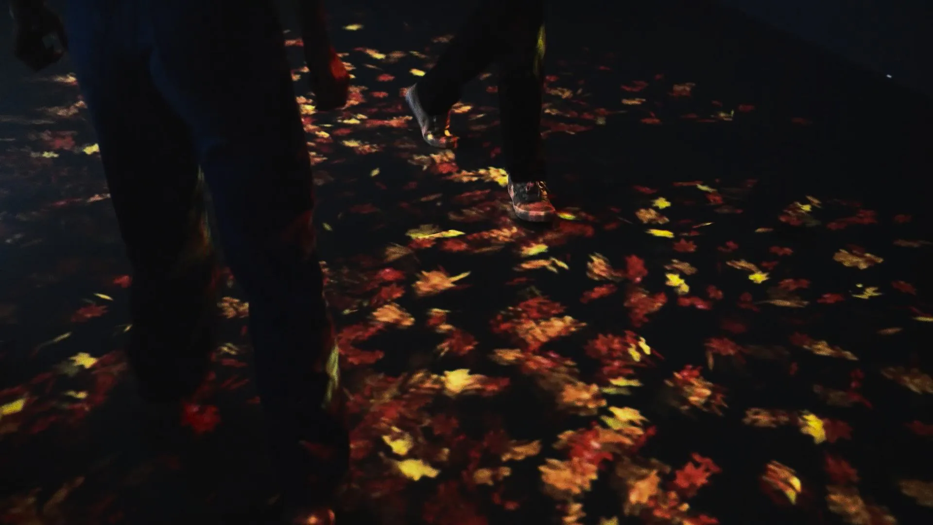 Visitors on a floor of orange and red autumn leaves