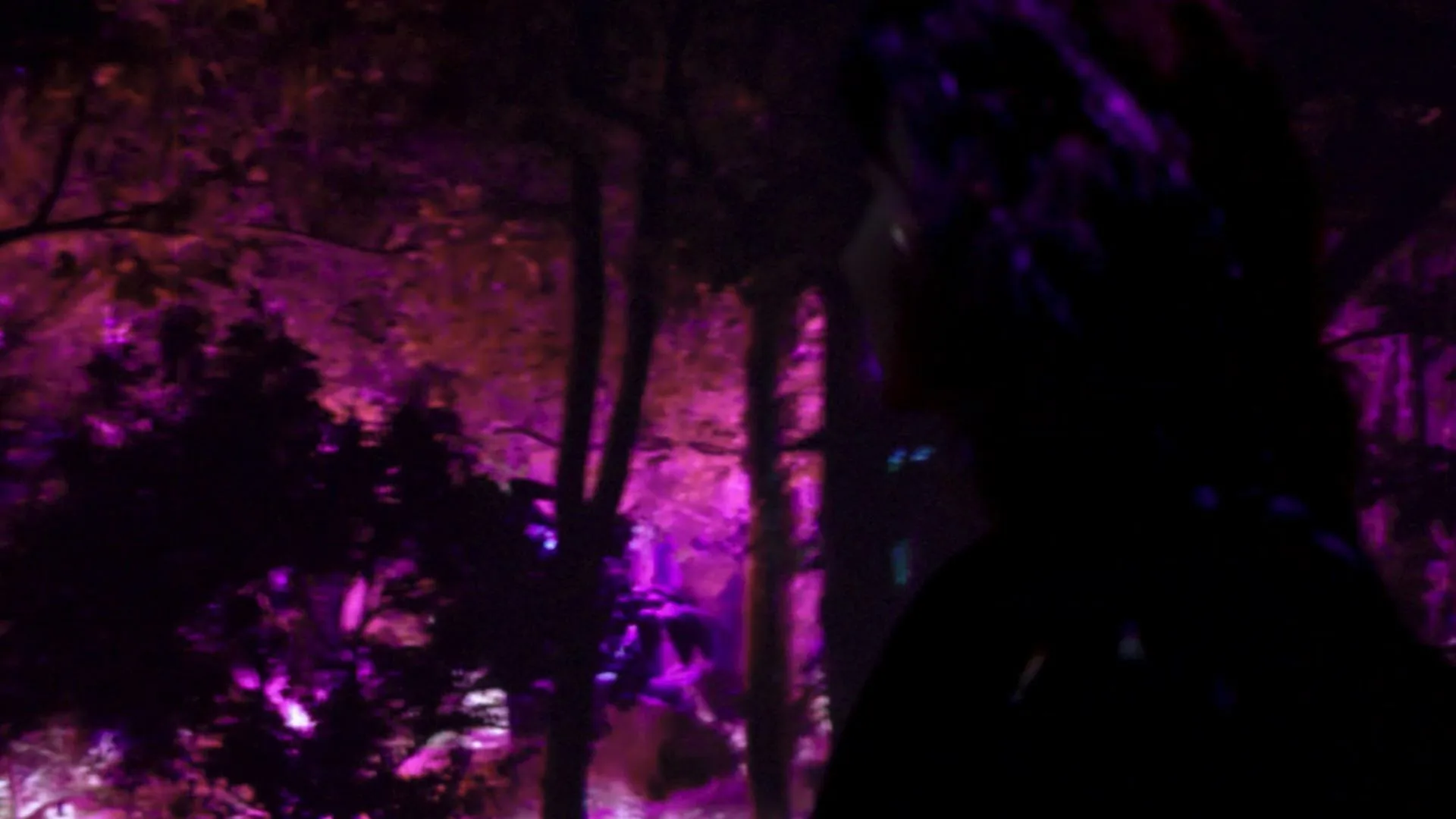 A visitor silhouetted against the night forest, the trees lit magenta and purple