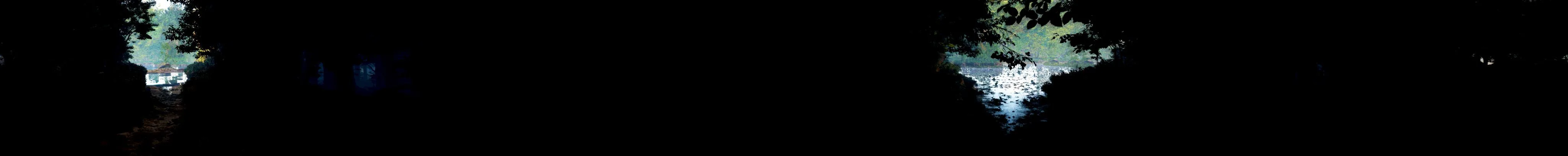 Wall panorama: near darkness with two bright openings through the trees