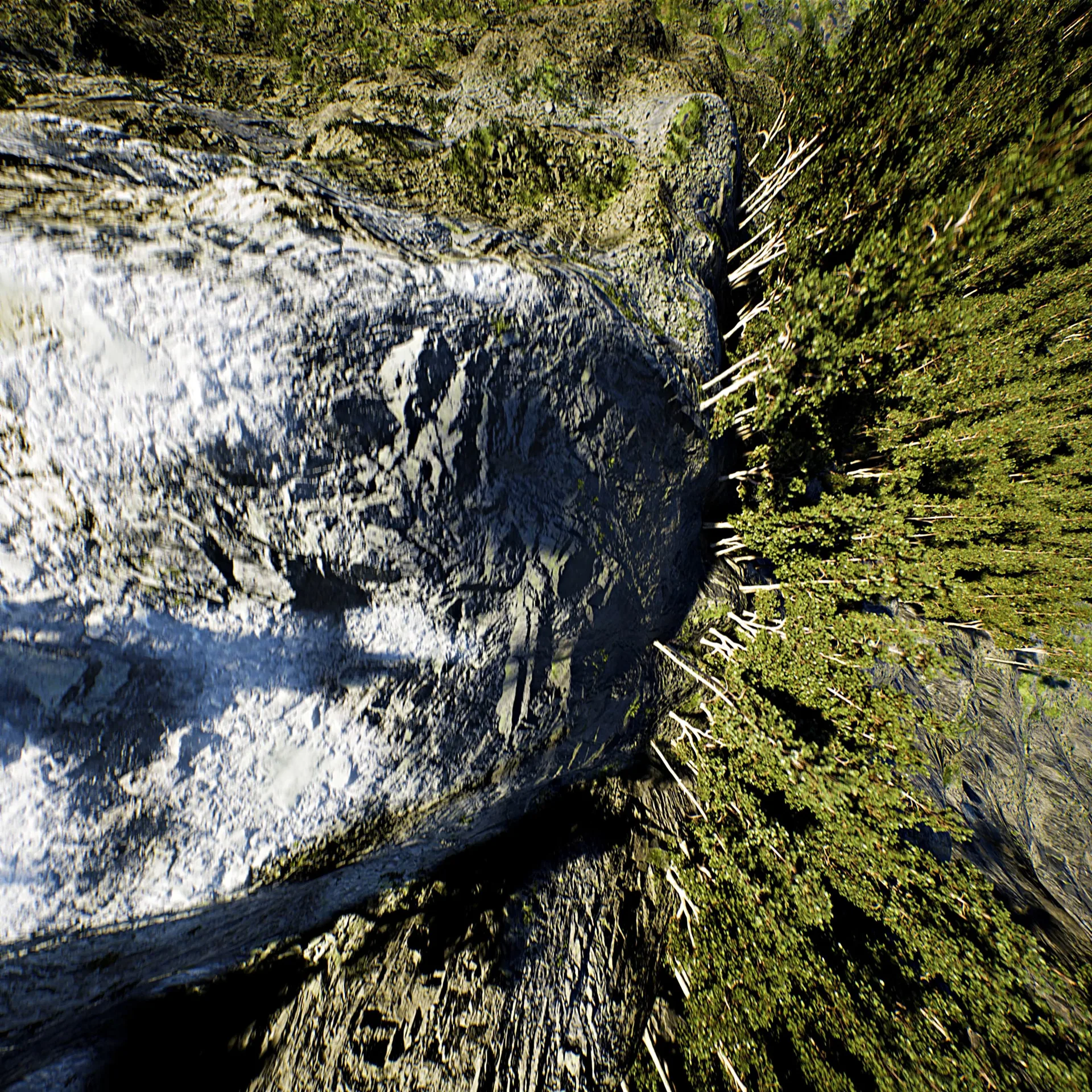 Earth floor pass — a mossy rock face and treetops from above